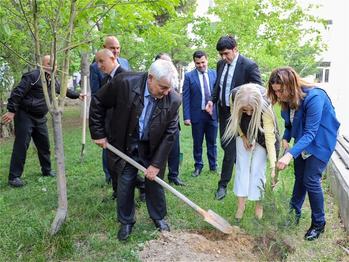 В АУЯ была проведена акция по посадке деревьев