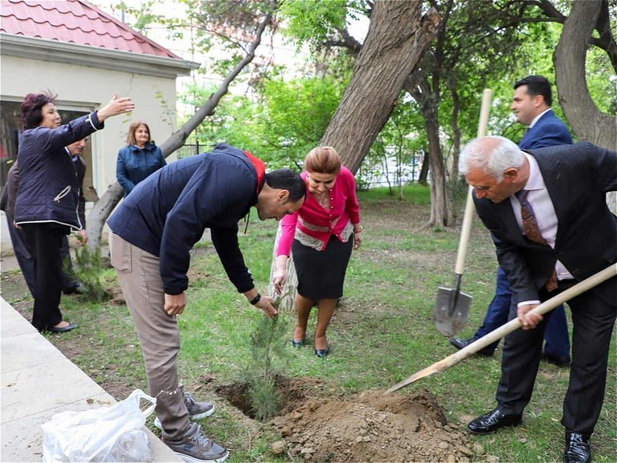 В АУЯ была проведена акция по посадке деревьев